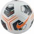 Minge de Fotbal Nike ACADEMY TEAM 24 FZ7540 101 Alb