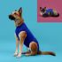 Tricou de recuperare pentru animale de companie KVP 21-24 cm Albastru