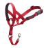 Gulerele de dresaj pentru câini Company of Animals Halti Botniță (31-40 cm)