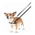 Ham pentru câini Company of Animals Halti Negru/Roșu Mărimea S (36-64 cm)