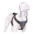 Ham pentru câini Company of Animals CarSafe Negru Mărimea M