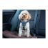 Ham pentru câini Company of Animals CarSafe Negru L