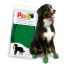 Cizme Pawz Câine 12 Unități Mărimea XL Verde