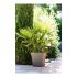 Ghiveci EDA Tuscan Gri Maroniu Plastic Pătrat Ø 50 cm (49,5 x 49,5 x 52,5 cm)