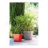 Ghiveci EDA Tuscan Gri Maroniu Plastic Pătrat Ø 50 cm (49,5 x 49,5 x 52,5 cm)
