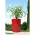 Ghiveci Riviera Roșu Plastic Pătrat Rotund Modern 29 x 29 x 52 cm 29 x 29 cm