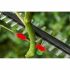 Foarfece de grădină BOSCH UniversalHedgePole 18 43 cm 18 V