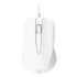 Mouse T'NB SHARK Alb