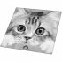 Cântar Digital de Baie Little Balance The Cat Gri 180 kg