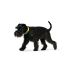 Zgardă pentru câini Hunter Convenience 47-55 cm L Galben