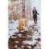 Zgardă pentru câini Hunter Convenience 47-55 cm L Portocaliu