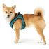 Ham pentru câini Hunter Hilo-Comfort Turquoise XS/S (37-42 cm)