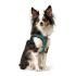 Ham pentru câini Hunter Hilo Comfort 55-60 cm Mărimea M Turquoise