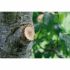 Foarfece pentru pomi/ de grădină Gardena SmartCut Comfort