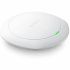 Antenă Wifi ZyXEL WAC6303D-S-EU0101F