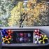 Odorizant pentru Mașină Dr Marcus Lucky Top Plastic Pandantiv (12 Unități)