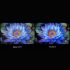 Smart TV Xiaomi MINILED 2025 LED 4K Ultra HD 75