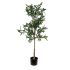 Plantă decorativă Versa Metal Plastic Цимент 41 x 122 x 43 cm
