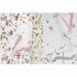 Pungă din Hârtie DKD Home Decor Plastic 2 Piese
