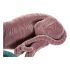 Figură Decorativă DKD Home Decor 36 x 17,5 x 13,3 cm Tigru Verde Rășină Roz deschis Cu șuvițe