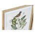 Tablou DKD Home Decor Bird 55 x 2,5 x 70 cm Tropical Păsări (4 Piese)
