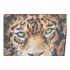 Tablou DKD Home Decor 52 x 2,7 x 72 cm Tigru Modern (2 Unități)