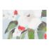 Tablou DKD Home Decor CU-181694 Pânză Buda Oriental (140 x 3 x 140 cm) (2 pcs)