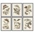 Tablou DKD Home Decor 50 x 2,5 x 65 cm Květiny Modern (6 Piese)