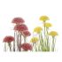 Plantă decorativă DKD Home Decor 30 x 30 x 78 cm Roz Metal Galben PVC (2 Unități)