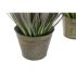 Plantă decorativă DKD Home Decor 30 x 30 x 78 cm Roz Metal Galben PVC (2 Unități)