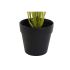 Plantă decorativă DKD Home Decor PVC polipropilenă 25 x 25 x 30 cm