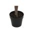 Plantă decorativă DKD Home Decor Roz Verde PE (60 x 60 x 125 cm)