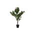 Plantă decorativă DKD Home Decor Roz Verde PE (60 x 60 x 125 cm)