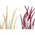 Plantă decorativă DKD Home Decor Portocaliu Polietilenă Bordo PVC 30 x 30 x 150 cm (2 Unități)