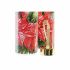Sticlă (de pus lichide) DKD Home Decor Pták Geam PVC (550 ml) (2 Unități)