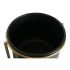 Ghiveci DKD Home Decor 30 x 21 x 80 cm Negru Auriu* Metal