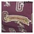 Ghiozdan Harry Potter 72835 Castaniu