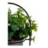 Plantă decorativă Ibergarden QY-H093 Metal Plastic 21 x 30 x 21 cm Cu suport Gri