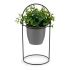 Plantă decorativă Ibergarden QY-H093 Metal Plastic 21 x 30 x 21 cm Cu suport Gri
