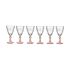 Pahar de vin Exotic Geam Somon 275 ml