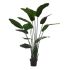 Plantă decorativă Ibergarden BRS-ADG147 Plastic Sârmă de fier Pasărea Paradisului 130 x 160 x 130 cm