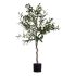 Plantă decorativă Ibergarden BRS-ADK101 Plastic Sârmă de fier Măslin