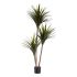 Plantă decorativă Ibergarden BRS-ADE181 Plastic Sârmă de fier Lamă îngustă 80 x 200 x 105 cm