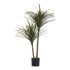 Plantă decorativă Ibergarden BRS-ADE179 Plastic Sârmă de fier Lamă îngustă 80 x 150 x 105 cm