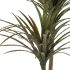 Plantă decorativă Ibergarden BRS-ADE179 Plastic Sârmă de fier Lamă îngustă 80 x 150 x 105 cm