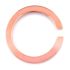 Bezel pentru ceas Glam Rock GC3044CR