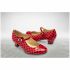 Pantofi de Flamenco pentru Copii
