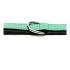 Zgardă pentru câini Gloria Căptușit Verde (35 x 1,5 cm)
