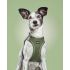 Ham pentru câini Gloria 24,5-26 cm Verde 18-20 cm
