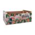 Suport Protecție pentru Masă Confortime Paradise Lemn Tropical 58 x 39 x 21 cm (3 Unități)